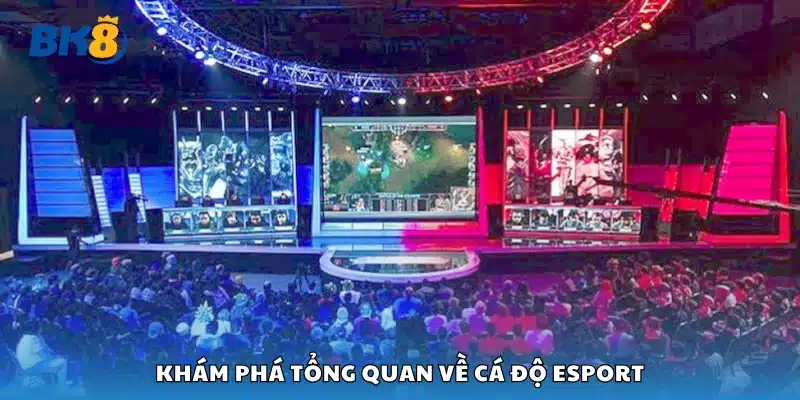 Khám phá tổng quan về cá độ esport