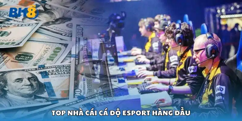 Top nhà cái cá độ esport được ưa chuộng 