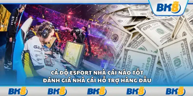 Cá độ esport nhà cái nào tốt – Đánh giá nhà cái hỗ trợ hàng đầu