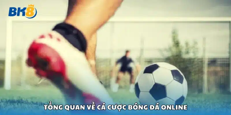 Giới thiệu tổng thể về cược bóng đá qua mạng