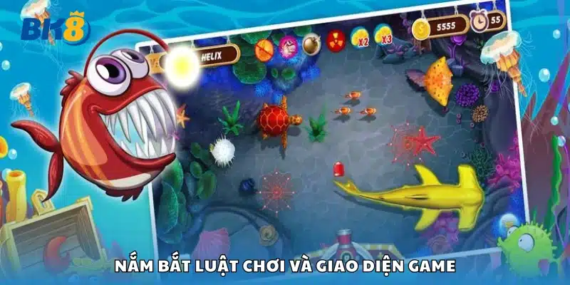 Luật chơi và giao diện game