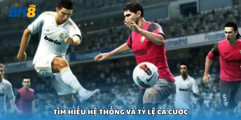 Khám phá hệ thống và tỷ lệ cá cược