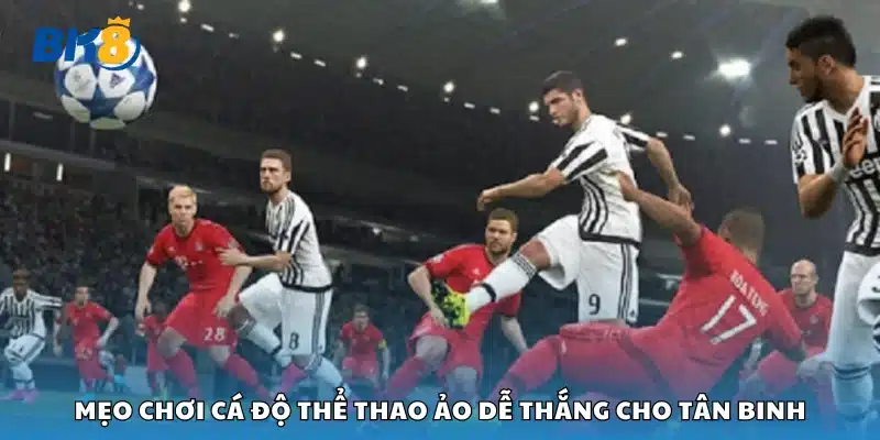 Mẹo chơi cá độ thể thao ảo dễ thắng cho tân binh